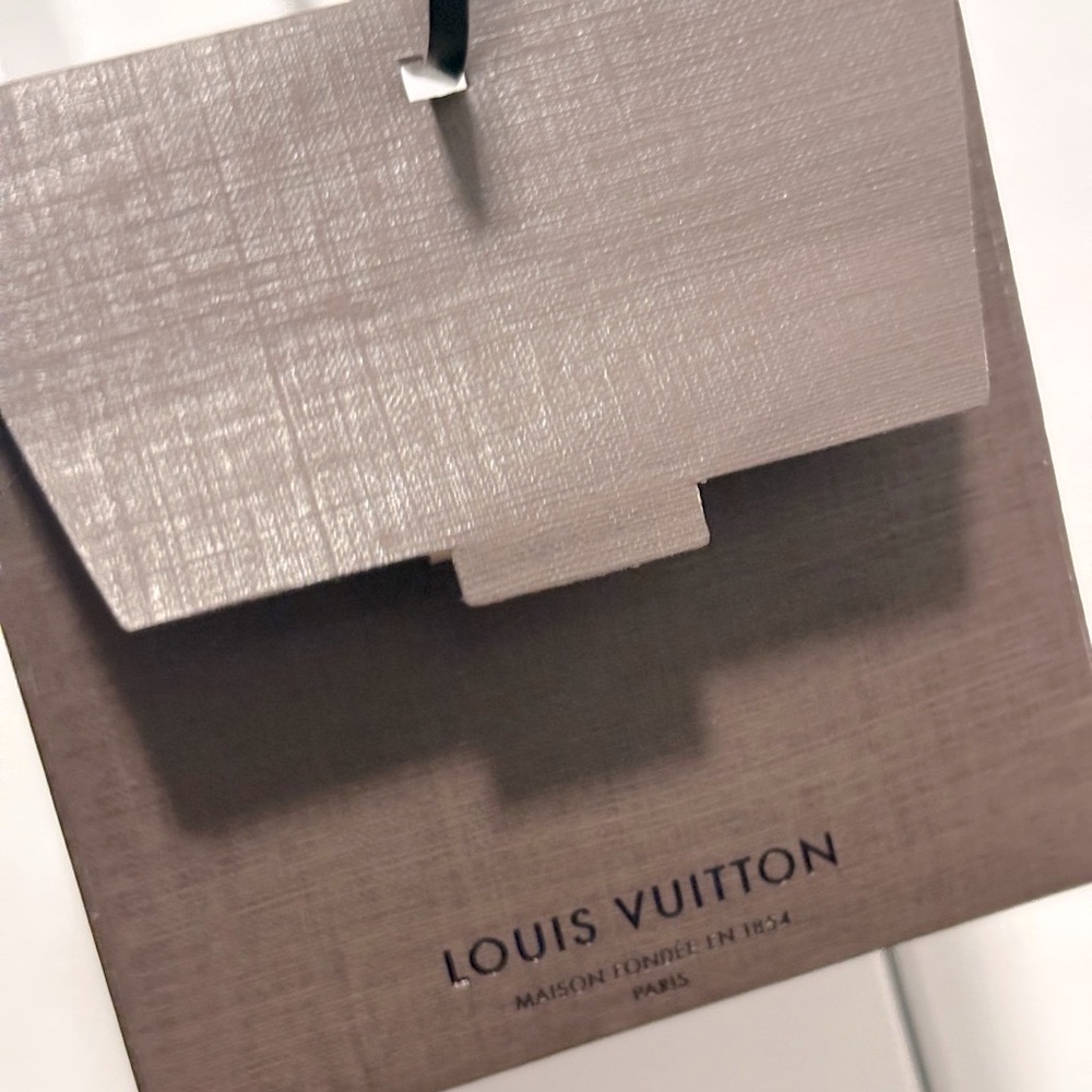 [Louis Vuitton] Lot of 6 - Large & Small Box, 2 Envelopes, Gift Bag & Tag/Card - Picture 9 of 16